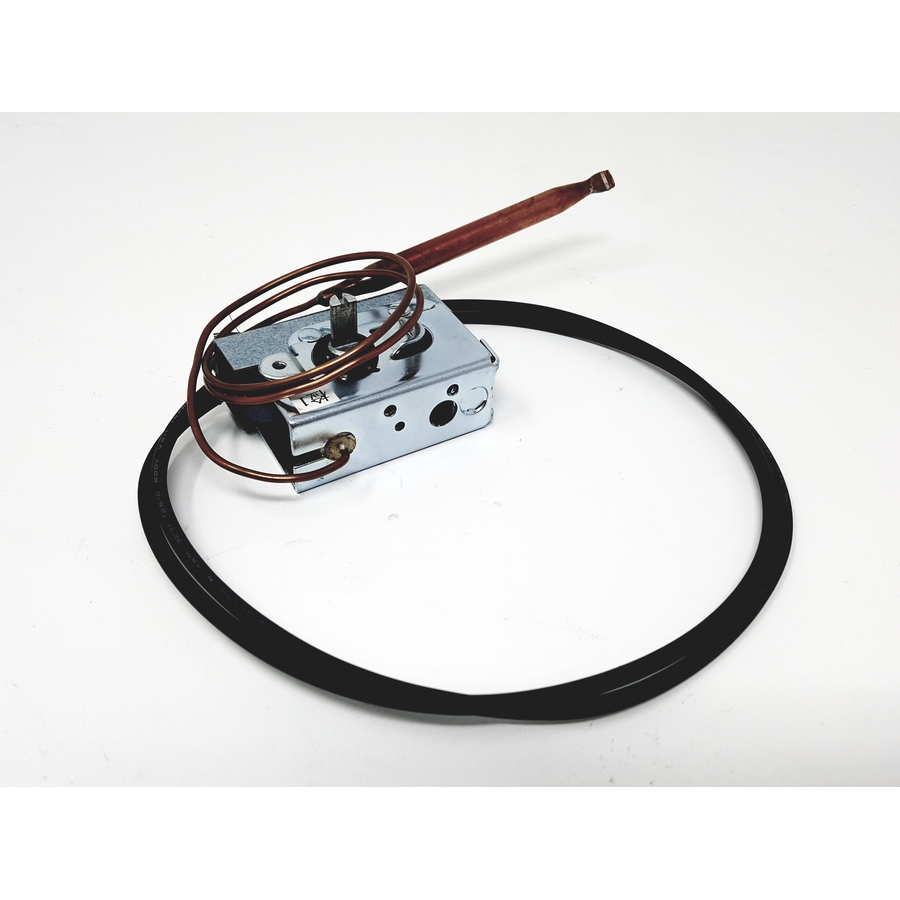 03005036 - Thermostat